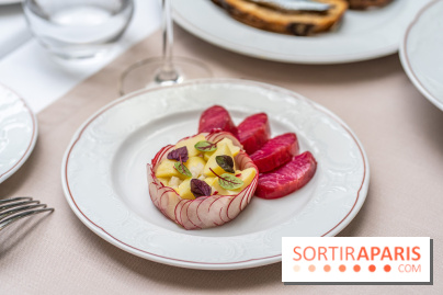 Les Caryatides restaurant de l'Hôtel Alfred Sommier -  A7C3317