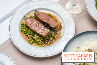 Les Caryatides restaurant de l'Hôtel Alfred Sommier -  A7C3334