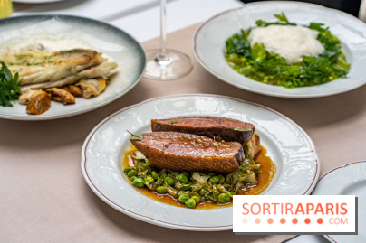 Les Caryatides restaurant de l'Hôtel Alfred Sommier -  A7C3342