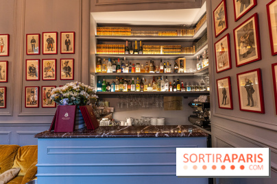 Hotel Alfred Sommier Paris -  A7C3285