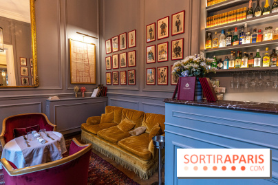 Hotel Alfred Sommier Paris -  A7C3286