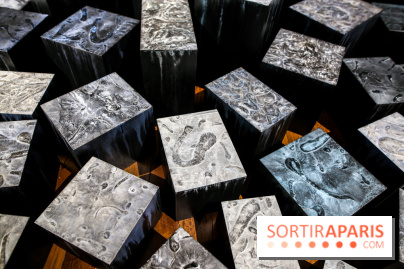 Carte blanche à Park Dong Soo au musée Guimet, nos photos - IMG 0099