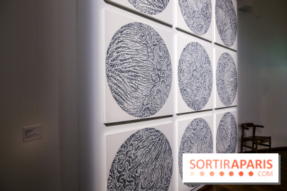 Carte blanche à Park Dong Soo au musée Guimet, nos photos - IMG 0102