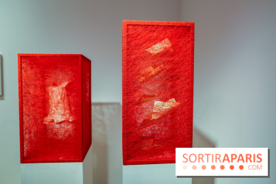 Expo Memory Under The Skin de Chiharu Shiota à Paris, nos photos - IMG 0128