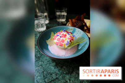 Restaurant Baillotte à Paris, nos photos - IMG 0030