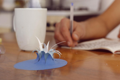 Projection de courts métrages spécial Festival de Brest