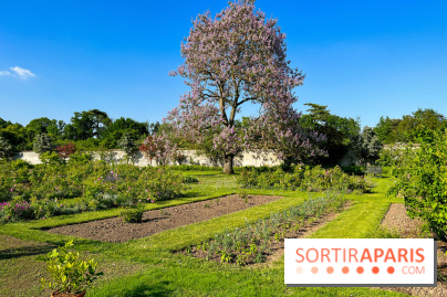 Le Jardin du Parfumeur à Versailles - image00002