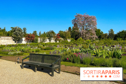 Le Jardin du Parfumeur à Versailles - image00005