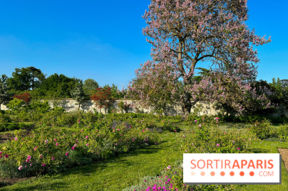 Le Jardin du Parfumeur à Versailles - image00007