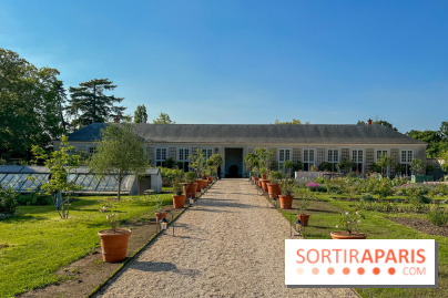 Le Jardin du Parfumeur à Versailles - image00008