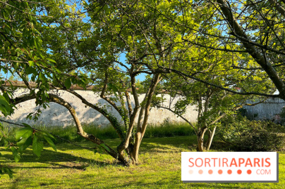 Le Jardin du Parfumeur à Versailles - image00010