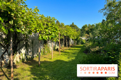 Le Jardin du Parfumeur à Versailles - image00011