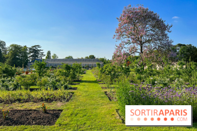Le Jardin du Parfumeur à Versailles - image00012