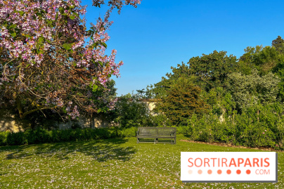 Le Jardin du Parfumeur à Versailles - image00020