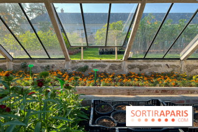 Le Jardin du Parfumeur à Versailles - image00022