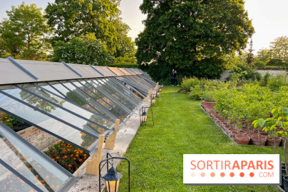 Le Jardin du Parfumeur à Versailles - image00023