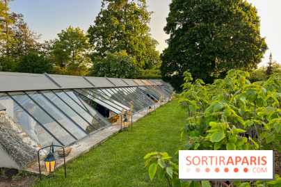 Le Jardin du Parfumeur à Versailles - image00027