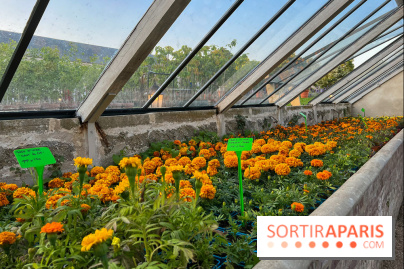 Le Jardin du Parfumeur à Versailles - image00030
