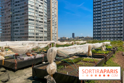 Les toits de Beaugrenelle