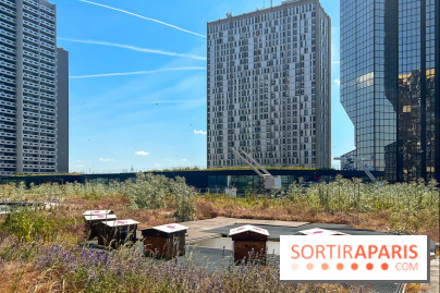 Les toits de Beaugrenelle