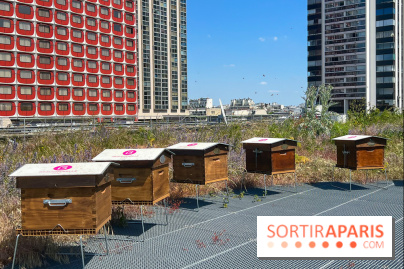 Les toits de Beaugrenelle - image00010