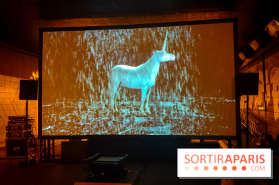 Nuit Blanche 2023 à Paris et en Ile-de-France : tout le programme de la soirée - Licorne tunnel Henri IV