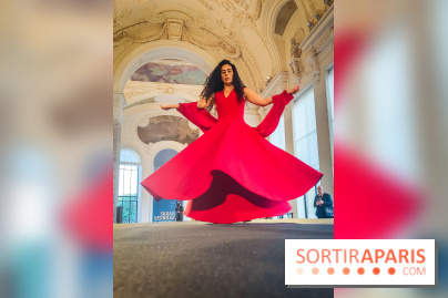 Nuit Blanche 2023 à Paris : de la danse soufie au Petit Palais - IMG20230602204828