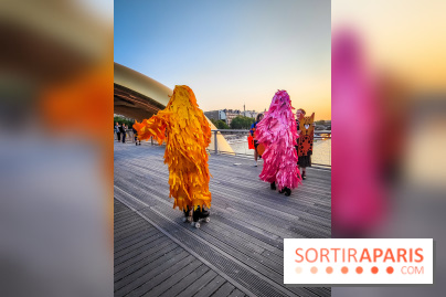 Nuit Blanche 2023 : une jungle musicale et colorée envahit le Parvis de l'Hôtel de Ville (75) - IMG20230602211526