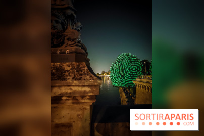 Nuit Blanche 2023 : des projections lumineuses magiques au Square du Vert Galant de l'Île de la Cité - IMG20230603001257