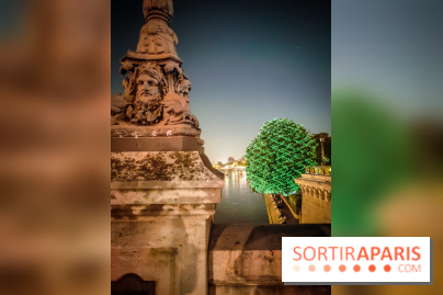 Nuit Blanche 2023 : des projections lumineuses magiques au Square du Vert Galant de l'Île de la Cité - IMG20230603001220