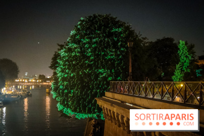 Nuit Blanche 2023 : des projections lumineuses magiques au Square du Vert Galant de l'Île de la Cité