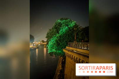 Nuit Blanche 2023 : des projections lumineuses magiques au Square du Vert Galant de l'Île de la Cité