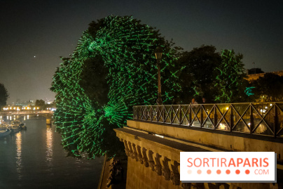 Nuit Blanche 2023 : des projections lumineuses magiques au Square du Vert Galant de l'Île de la Cité