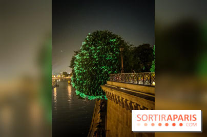 Nuit Blanche 2023 : des projections lumineuses magiques au Square du Vert Galant de l'Île de la Cité