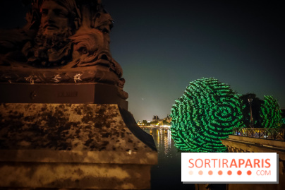 Nuit Blanche 2023 : des projections lumineuses magiques au Square du Vert Galant de l'Île de la Cité
