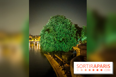 Nuit Blanche 2023 : des projections lumineuses magiques au Square du Vert Galant de l'Île de la Cité