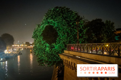 Nuit Blanche 2023 : des projections lumineuses magiques au Square du Vert Galant de l'Île de la Cité