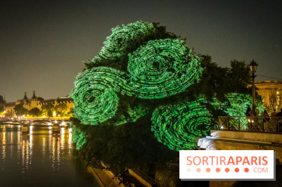 Nuit Blanche 2023 : des projections lumineuses magiques au Square du Vert Galant de l'Île de la Cité