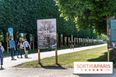 Le Gué, l'installation éphémère du Domaine de Sceaux qui fait marcher sur l'eau