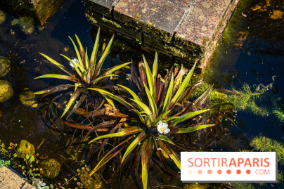 Les Jardins de Sonja au Perray-en-Yvelines