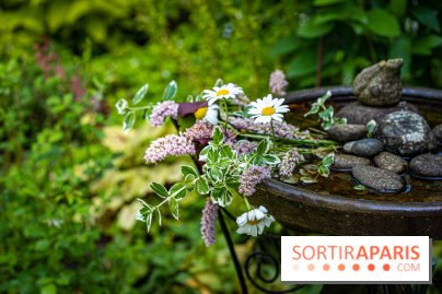 Les Jardins de Sonja au Perray-en-Yvelines -  A7C5023