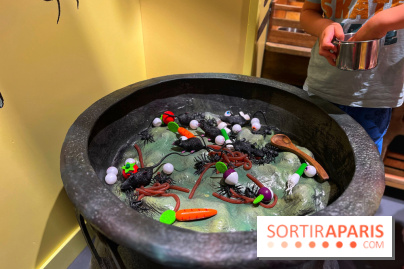 La Maison des Histoires - IMG 3024