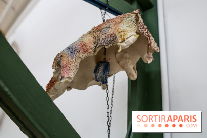 De(s)rives 2023 : nos photos de l'expo insolite au gymnase Huyghens