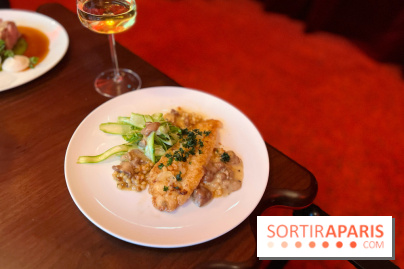 Mistinguett - Filet de Saint-Pierre