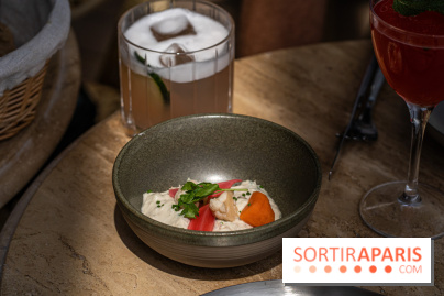 Perchoir Y, restaurant par Guillaume Sanchez et guinguette en forêt -  A7C5794