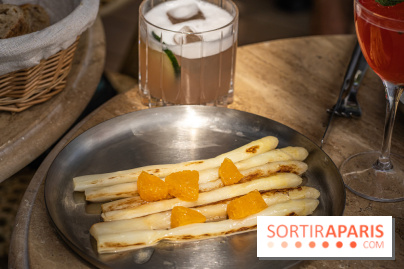 Perchoir Y, restaurant par Guillaume Sanchez et guinguette en forêt -  A7C5796