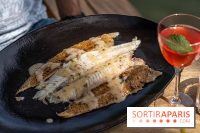 Perchoir Y, restaurant par Guillaume Sanchez et guinguette en forêt -  A7C5807