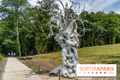 Perchoir Y, restaurant par Guillaume Sanchez et guinguette en forêt