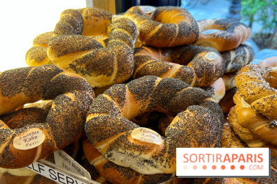 Florence Kahn - Pains