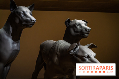 Exposition Ron Mueck à la Fondation Cartier 2023 -  A7C6436